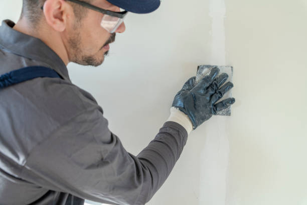 Trusted Ridgebury, CT Mold Removal Experts